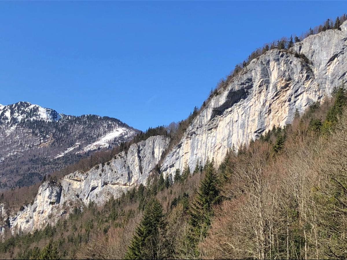 Apartment Goisernperle Bad Goisern Luaran gambar